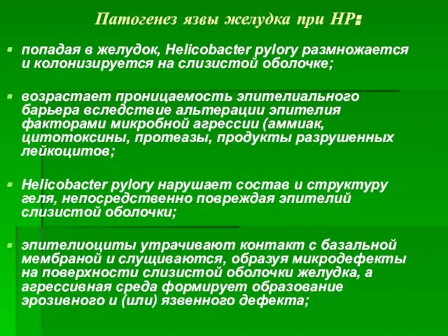 Патогенез язвы желудка при НР: попадая в желудок, Helicobacter pylory размножается