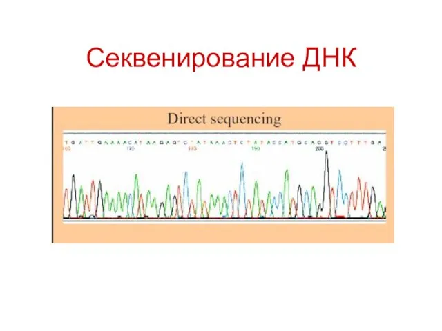 Секвенирование ДНК