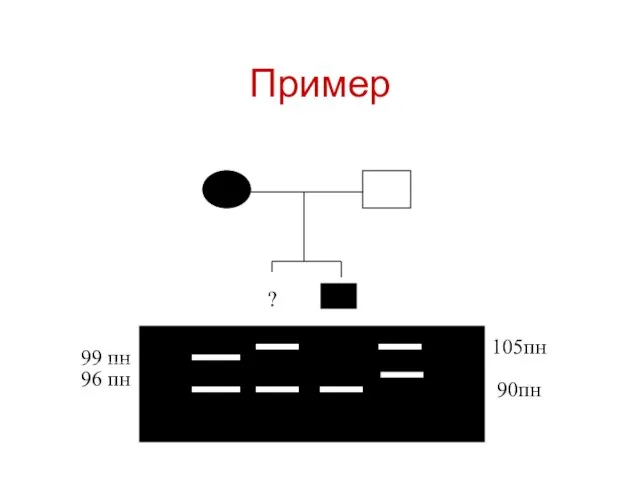 Пример 99 пн 96 пн 105пн 90пн ?