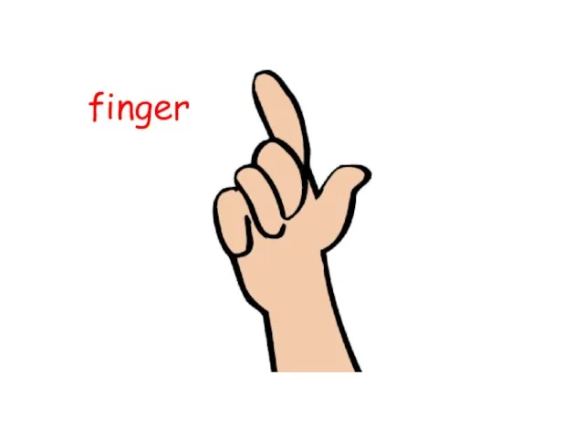 finger