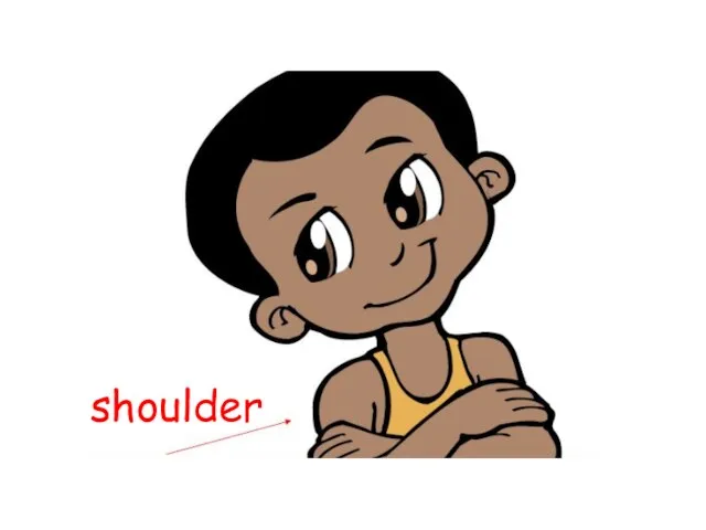 shoulder