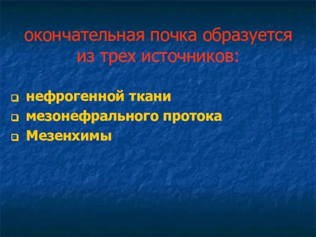 окончательная почка образуется из трех источников: нефрогенной ткани мезонефрального протока Мезенхимы