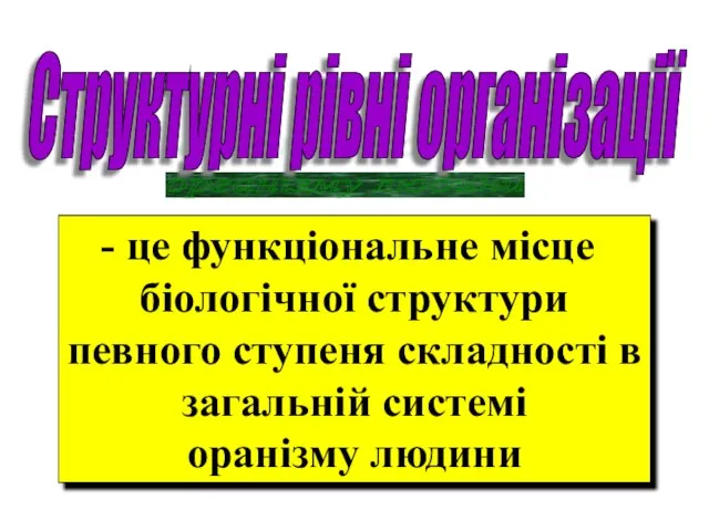 організму людини Структурні рівні організації це функціональне місце біологічної структури певного