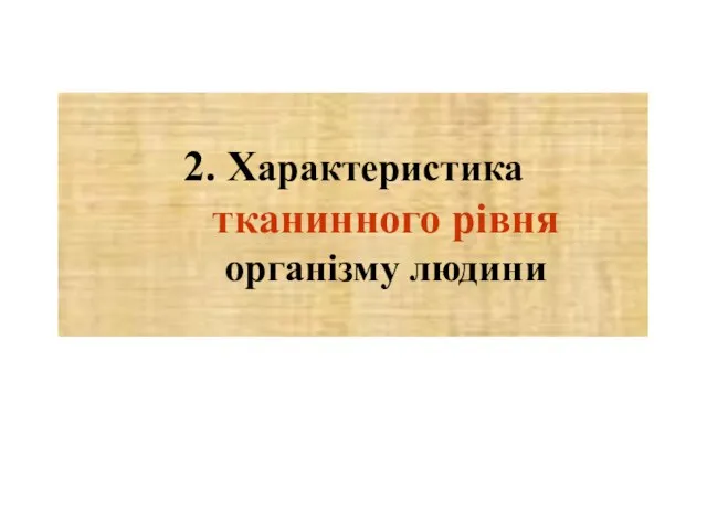 2. Характеристика тканинного рівня організму людини