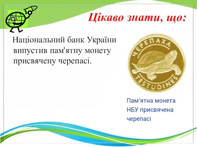 Національний банк України випустив пам'ятну монету присвячену черепасі. Цікаво знати, що: