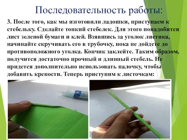 Последовательность работы: 3. После того, как мы изготовили ладошки, приступаем к