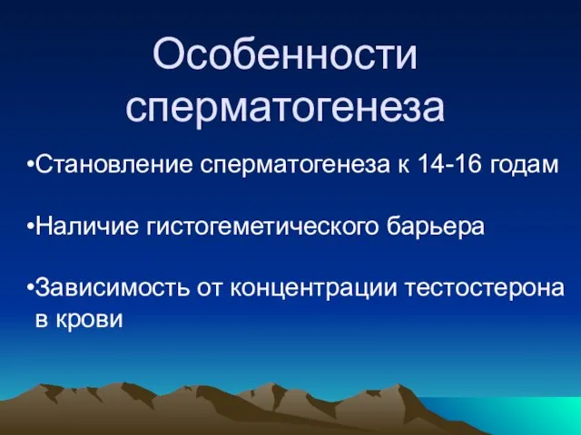 Особенности сперматогенеза Становление сперматогенеза к 14-16 годам Наличие гистогеметического барьера Зависимость от концентрации тестостерона в крови