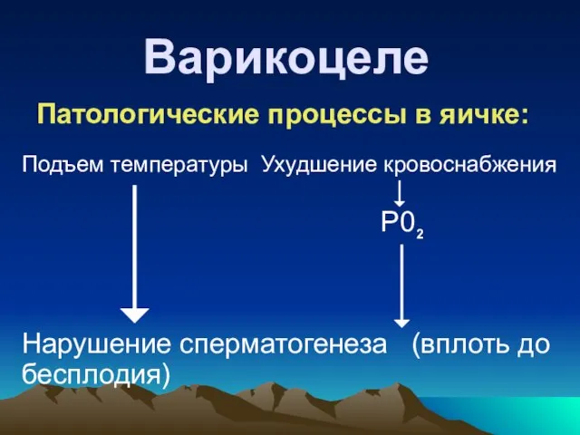 Варикоцеле Подъем температуры Ухудшение кровоснабжения P02 Нарушение сперматогенеза (вплоть до бесплодия) Патологические процессы в яичке: