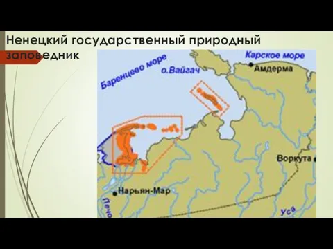 Ненецкий государственный природный заповедник