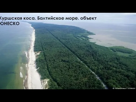 Куршская коса. Балтийское море. объект ЮНЕСКО