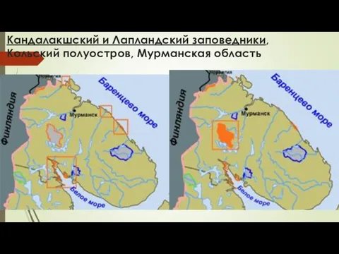 Кандалакшский и Лапландский заповедники, Кольский полуостров, Мурманская область