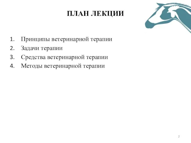 ПЛАН ЛЕКЦИИ Принципы ветеринарной терапии Задачи терапии Средства ветеринарной терапии Методы ветеринарной терапии