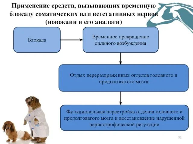 Применение средств, вызывающих временную блокаду соматических или вегетативных нервов (новокаин и