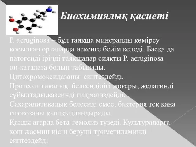 P. aeruginosa – бұл таяқша минералды көмірсу қосылған орталарда өскенге бейім