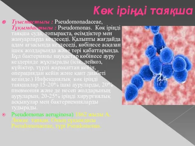 Көк іріңді таяқша Туыстастығы : Pseudomonadaceae, Тұқымдастығы : Pseudomonas. Көк іріңді