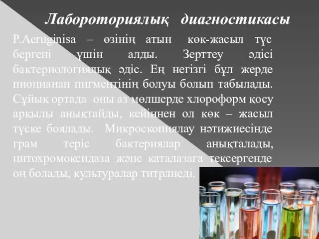 Лабороториялық диагностикасы P.Aeruginisa – өзінің атын көк-жасыл түс бергені үшін алды.