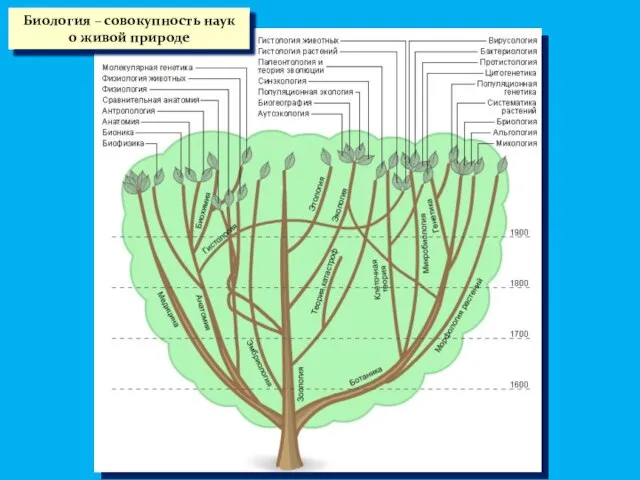 Биология – совокупность наук о живой природе