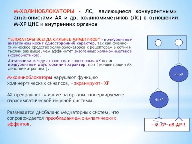 М-ХОЛИНОБЛОКАТОРЫ - ЛС, являющиеся конкурентными антагонистами АХ и др. холиномиметиков (ЛС)