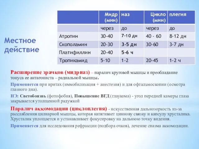 Местное действие Расширение зрачков (мидриаз) – паралич круговой мышцы и преобладание