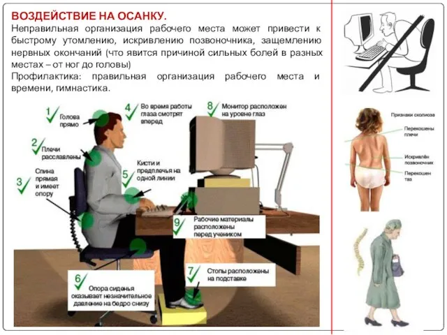 ВОЗДЕЙСТВИЕ НА ОСАНКУ. Неправильная организация рабочего места может привести к быстрому