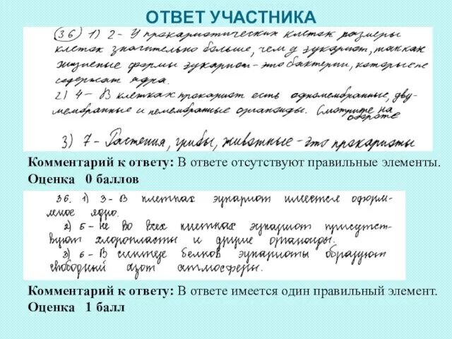 ОТВЕТ УЧАСТНИКА Комментарий к ответу: В ответе отсутствуют правильные элементы. Оценка