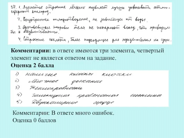 Комментарии: в ответе имеются три элемента, четвертый элемент не является ответом