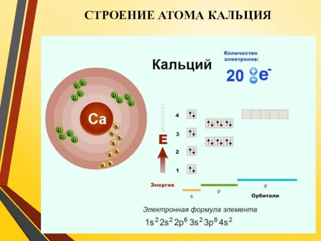 СТРОЕНИЕ АТОМА КАЛЬЦИЯ