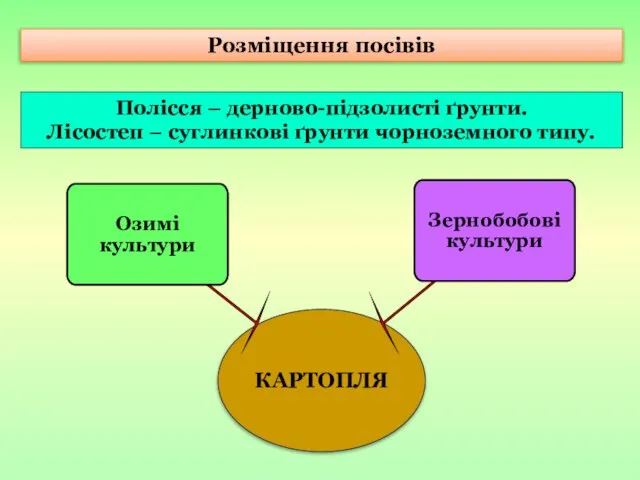 Розміщення посівів Полісся – дерново-підзолисті ґрунти. Лісостеп − суглинкові ґрунти чорноземного типу.