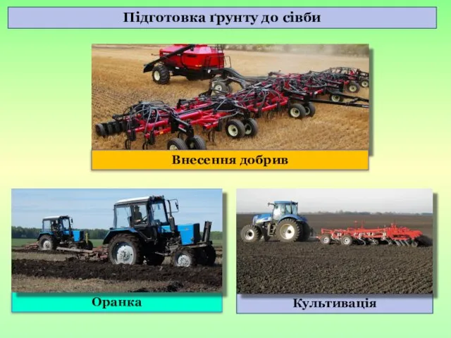 Внесення добрив Оранка Підготовка ґрунту до сівби Культивація