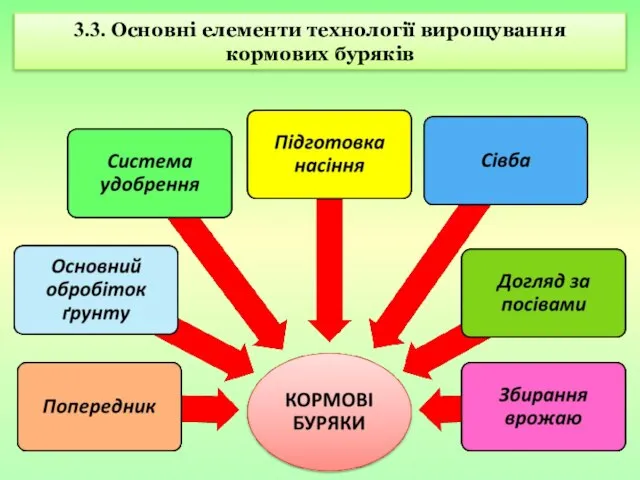 3.3. Основні елементи технології вирощування кормових буряків