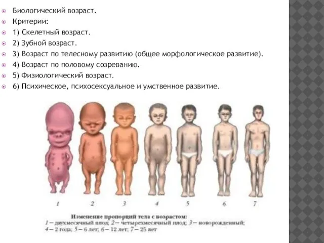 Биологический возраст. Критерии: 1) Скелетный возраст. 2) Зубной возраст. 3) Возраст