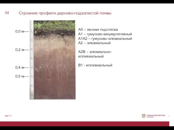 Строение профиля дерново-подзолистой почвы 04 gge.ru А0 – лесная подстилка А1