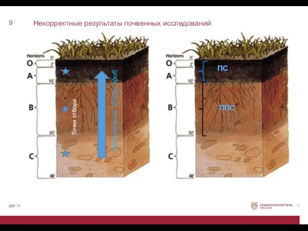 Некорректные результаты почвенных исследований 9 gge.ru Направление отбора проб Точки отбора ПС ППС