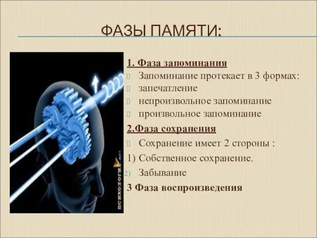 ФАЗЫ ПАМЯТИ: 1. Фаза запоминания Запоминание протекает в 3 формах: запечатление