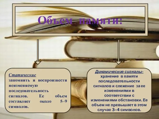 Объем памяти: Статические запомнить и воспроизвести неизменяемую последовательность сигналов. Ее объем