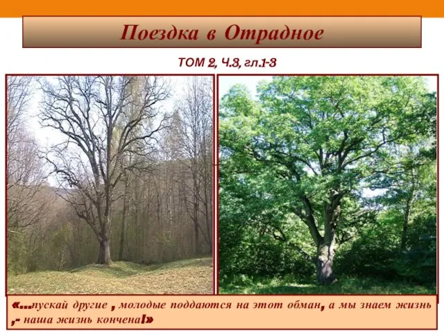 Поездка в Отрадное «…пускай другие , молодые поддаются на этот обман,