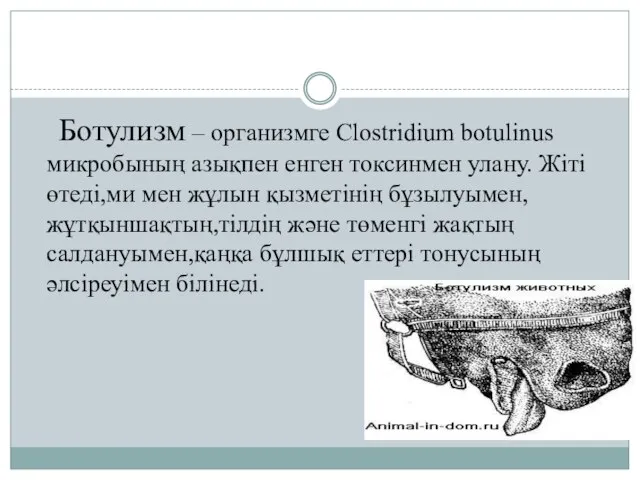 Ботулизм – организмге Clostridium botulinus микробының азықпен енген токсинмен улану. Жіті