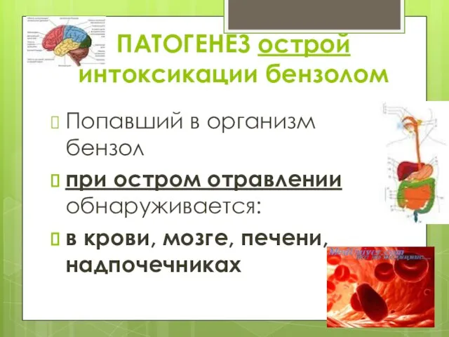 ПАТОГЕНЕЗ острой интоксикации бензолом Попавший в организм бензол при остром отравлении