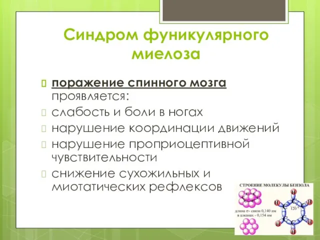 Синдром фуникулярного миелоза поражение спинного мозга проявляется: слабость и боли в