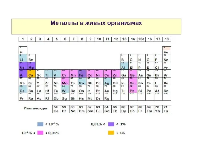 Металлы в живых организмах