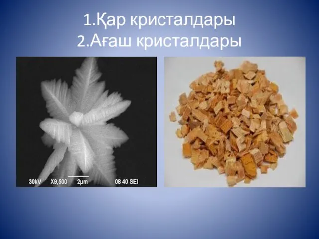 1.Қар кристалдары 2.Ағаш кристалдары