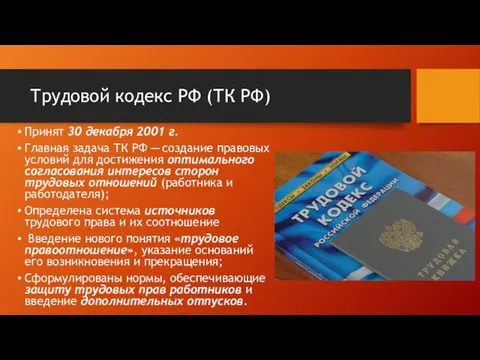 Трудовой кодекс РФ (ТК РФ) Принят 30 декабря 2001 г. Главная