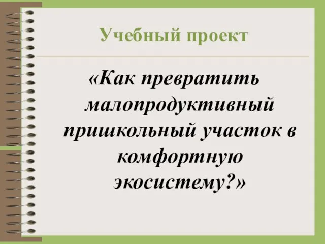 Учебный проект «Как превратить малопродуктивный пришкольный участок в комфортную экосистему?»