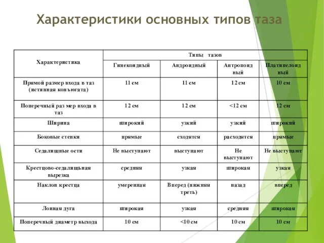 Характеристики основных типов таза