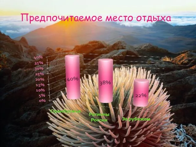 Предпочитаемое место отдыха