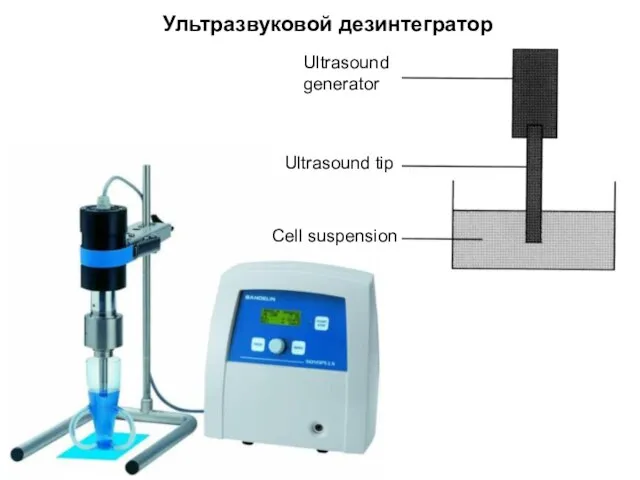 Ультразвуковой дезинтегратор Cell suspension Ultrasound generator Ultrasound tip