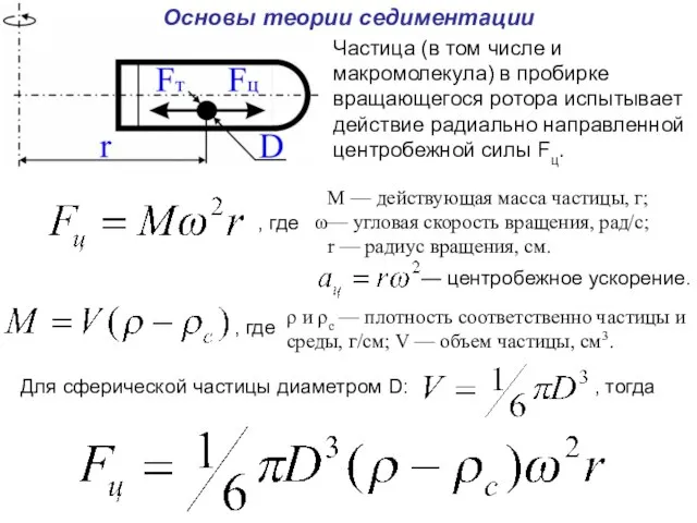 Основы теории седиментации Частица (в том числе и макромолекула) в пробирке