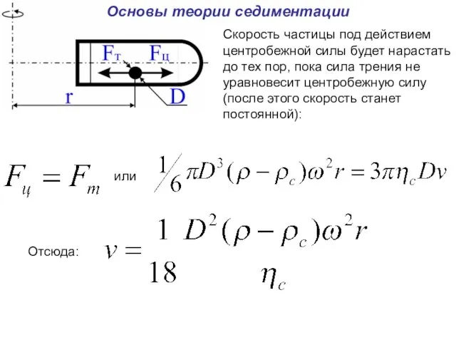 Основы теории седиментации Скорость частицы под действием центробежной силы будет нарастать