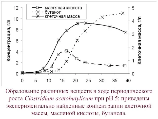 Образование различных веществ в ходе периодического роста Clostridium acetobutylicum при рН