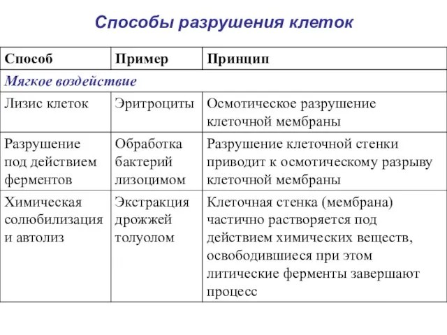 Способы разрушения клеток